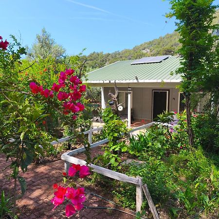 Gelidonia Fenerium Holiday Home Antalya Eksteriør bilde