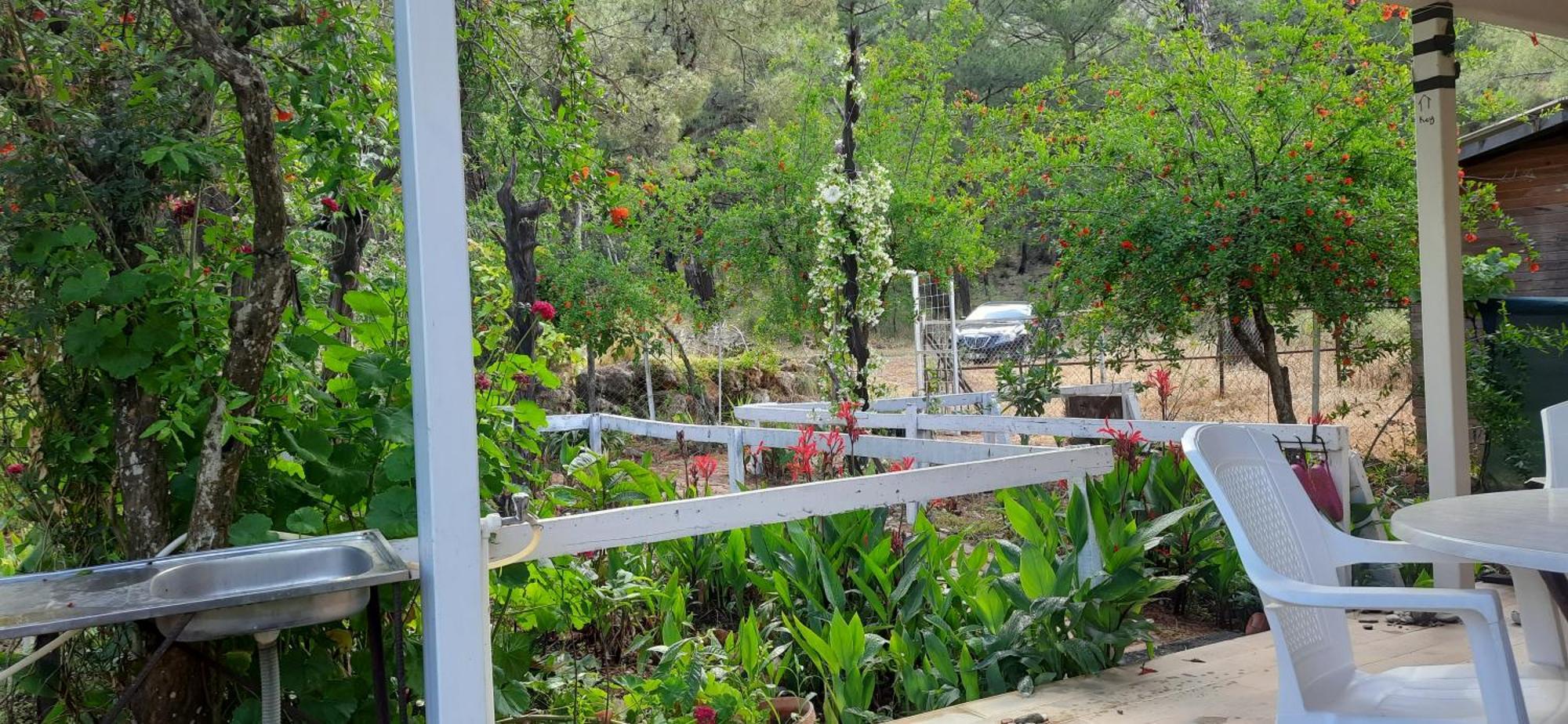 Gelidonia Fenerium Holiday Home Antalya Eksteriør bilde