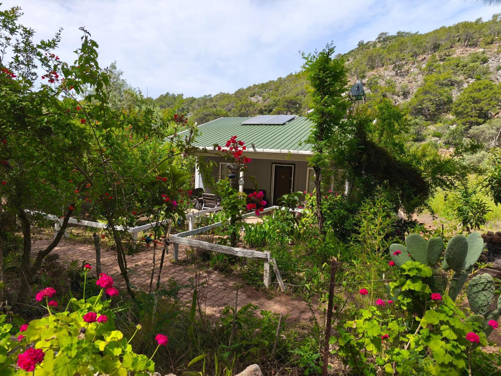 Gelidonia Fenerium Holiday Home Antalya Eksteriør bilde