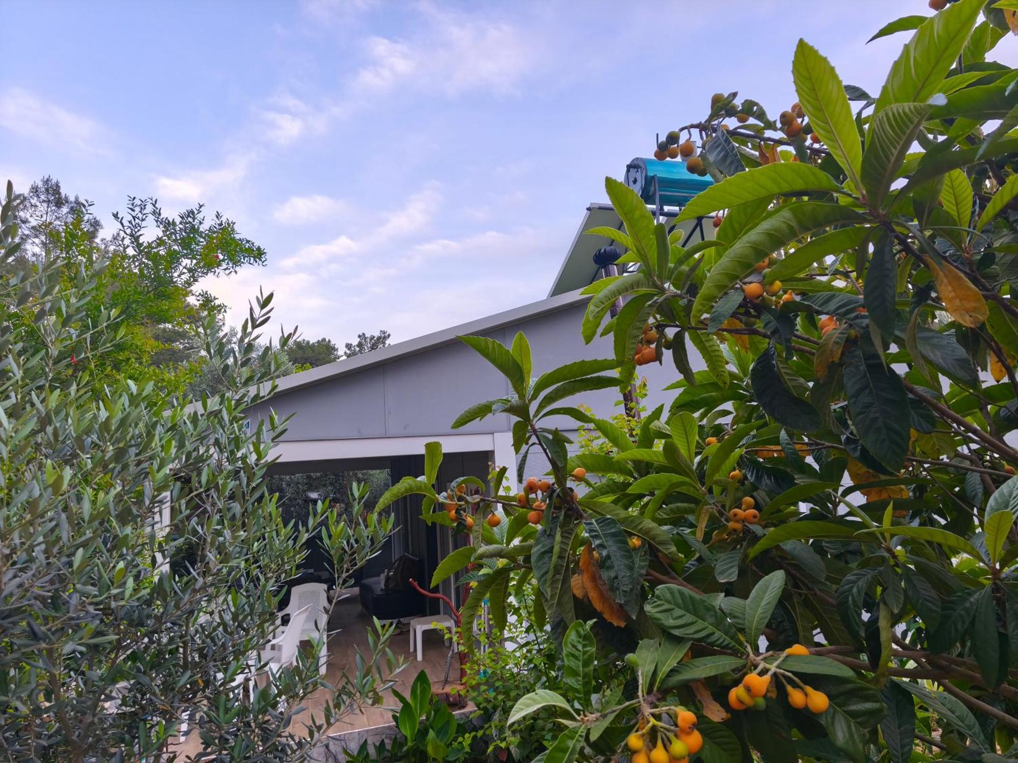 Gelidonia Fenerium Holiday Home Antalya Eksteriør bilde