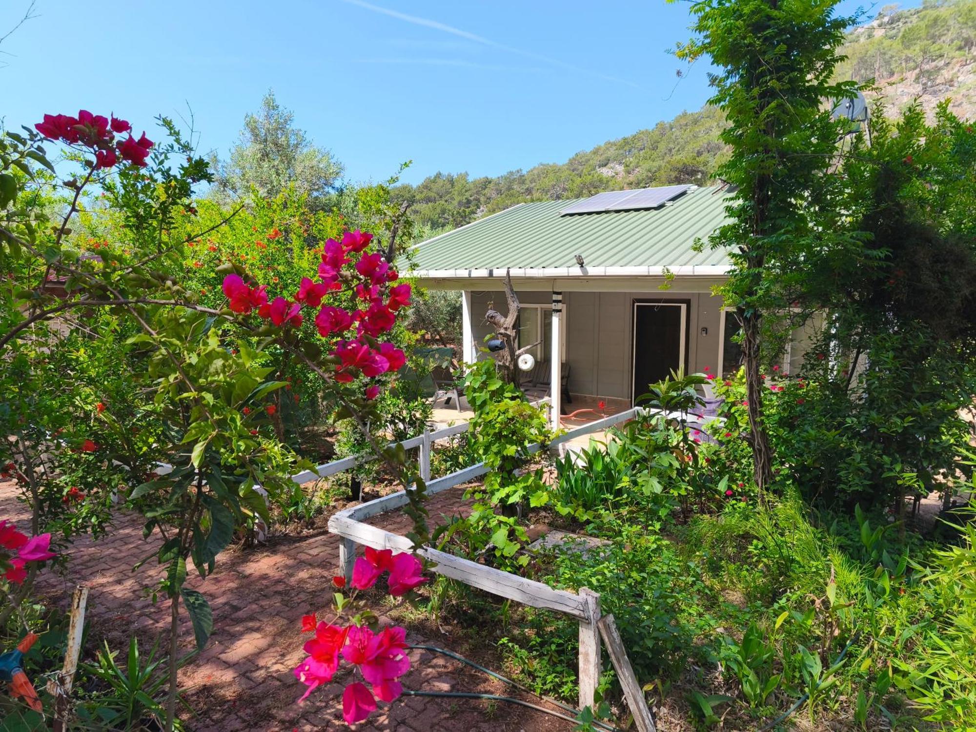 Gelidonia Fenerium Holiday Home Antalya Eksteriør bilde